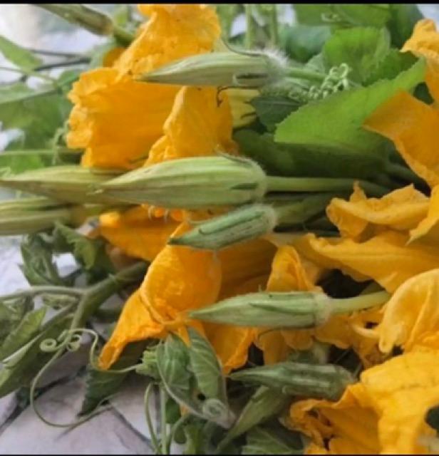Hạt Giống Bí Siêu Nụ