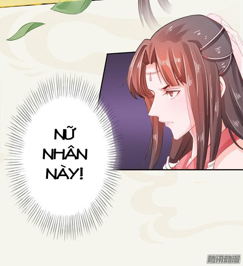 tuyệt thế luyện đan sư chapter 6 48
