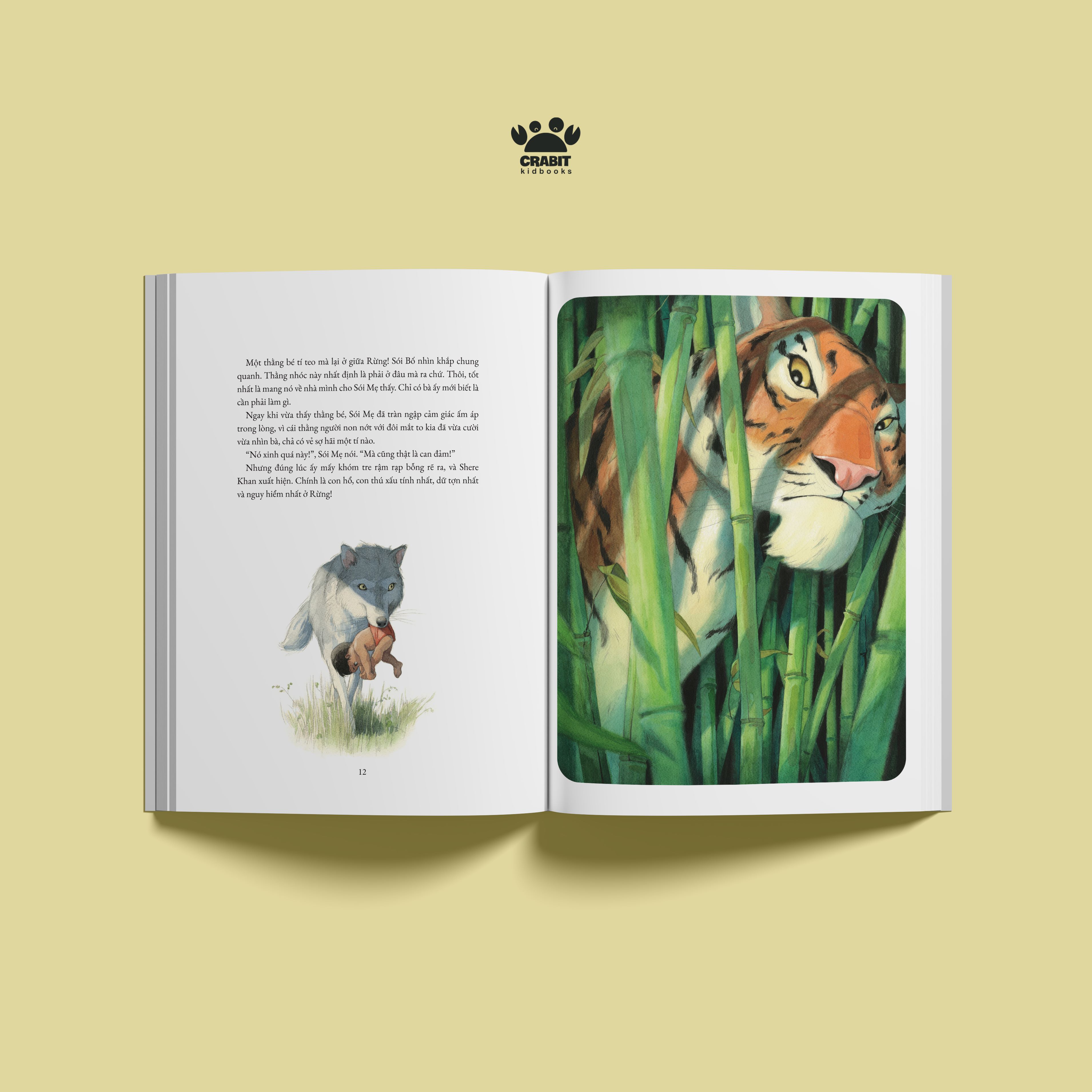 Sách - Chuyện rừng xanh - Crabit Kidbooks