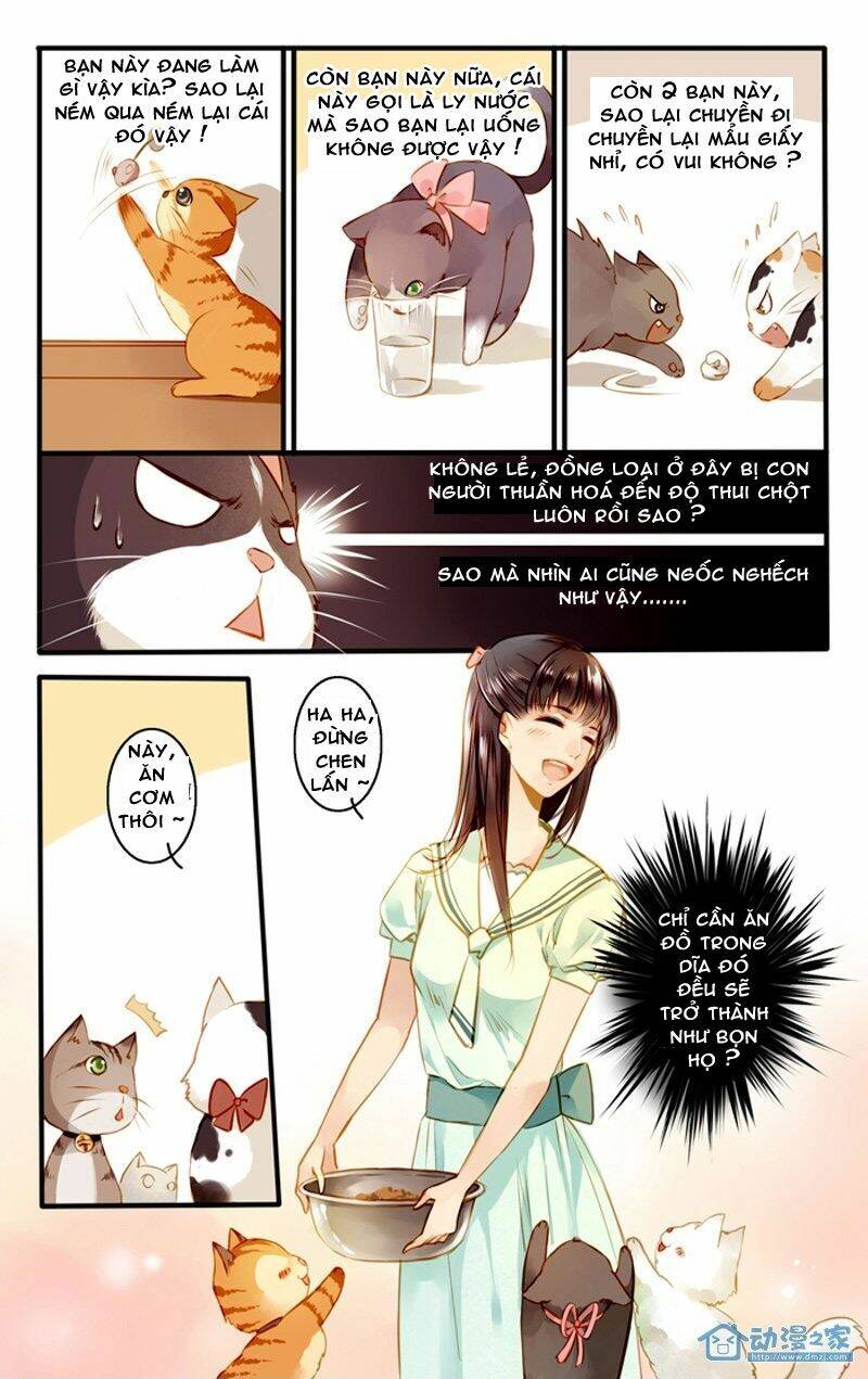 hằng mộng nam thần chapter 22 7