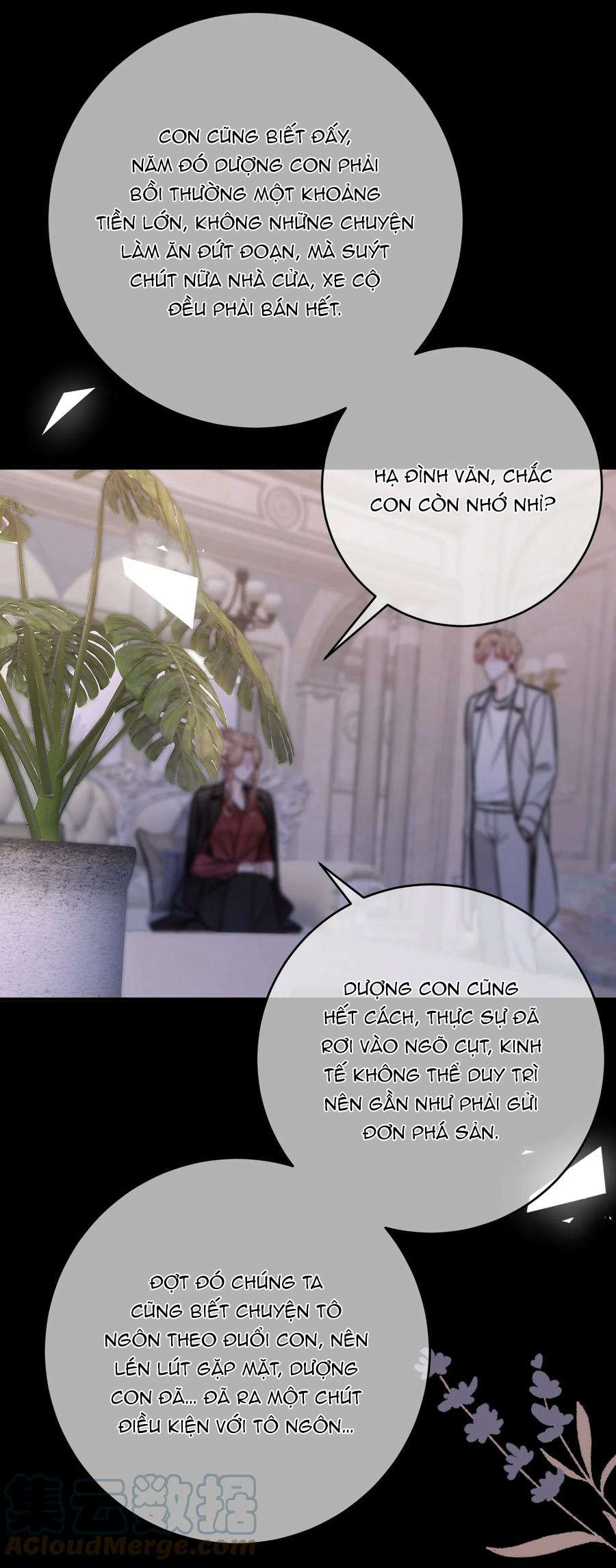 trước và sau ly hôn! chapter 62 11