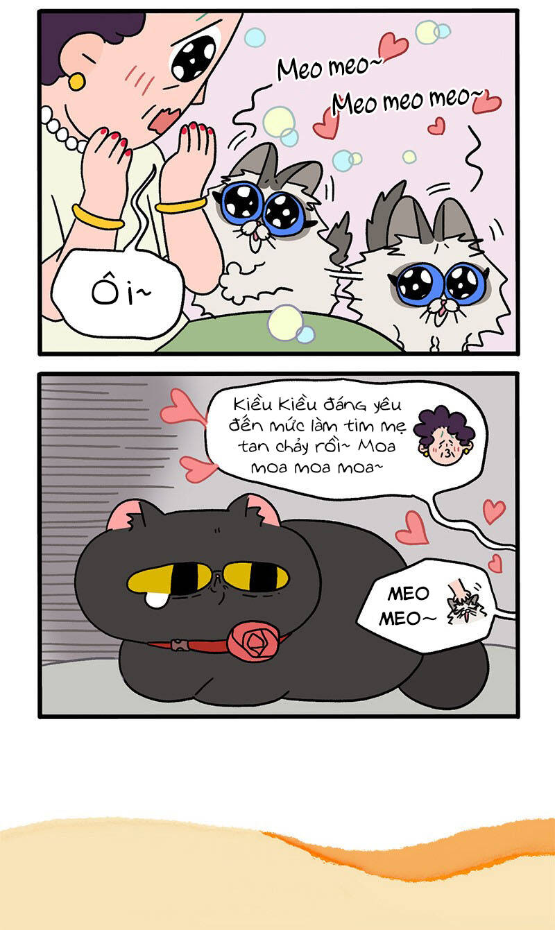 a mãn và mạch trà chapter 31 6