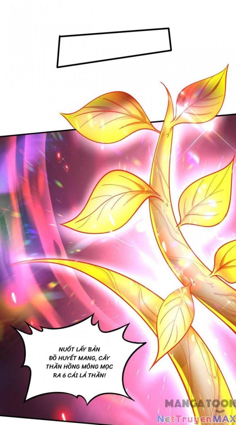 tối cường thần y tại đô thị chapter 309 9