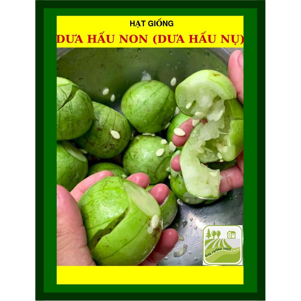 Hạt Giống Dưa Hấu Ăn Non Dưa Hấu Nụ 0.5 Gram