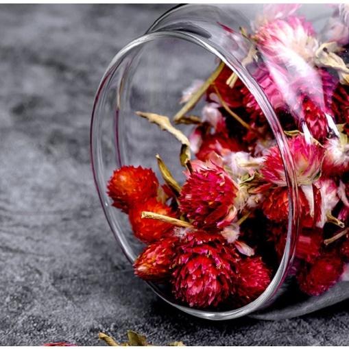 Hũ Thủy Tinh Ocean Pop Jar Glass Lid | Hũ Nắp Thủy Tinh