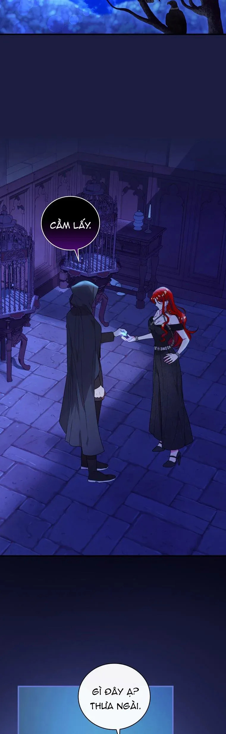 hiệp sĩ băng giá chapter 66.2 13