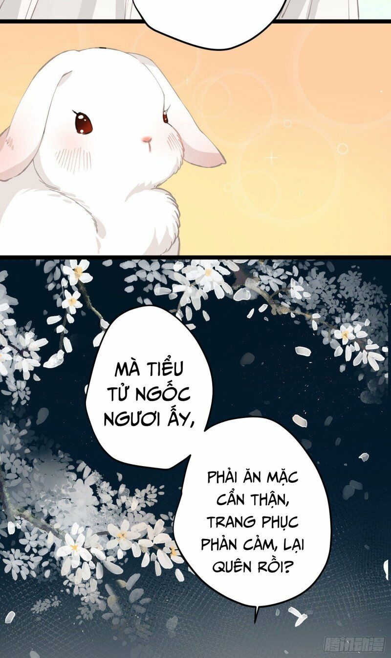 phế vật công chúa muốn nhặt chồng chapter 28 22