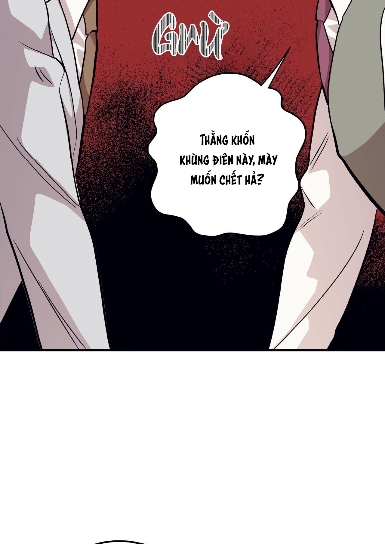 làm dâu nhà tài phiệt họ kang chapter 52 57