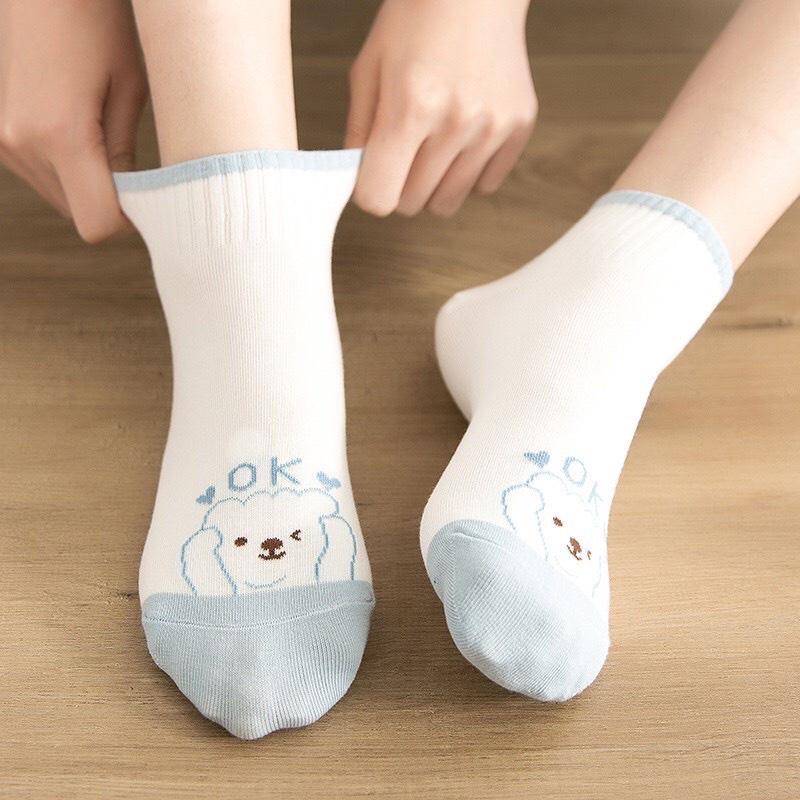 Tất vớ cổ ngắn phong cách Hàn Quốc trend