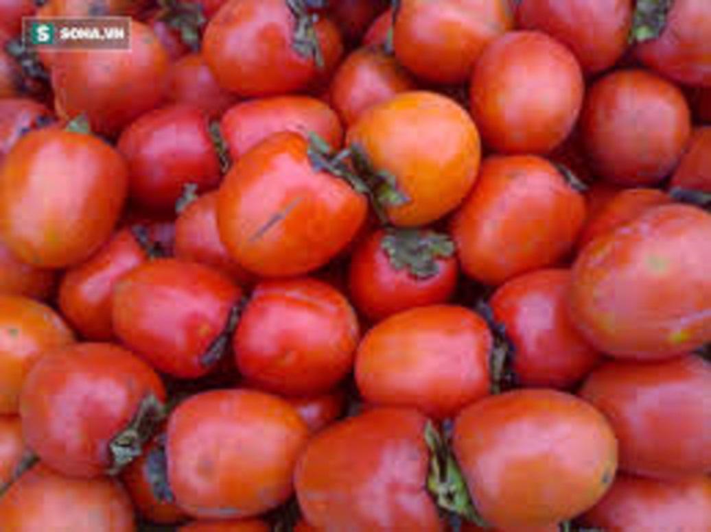 Cây HỒNG ĐỎ ghép