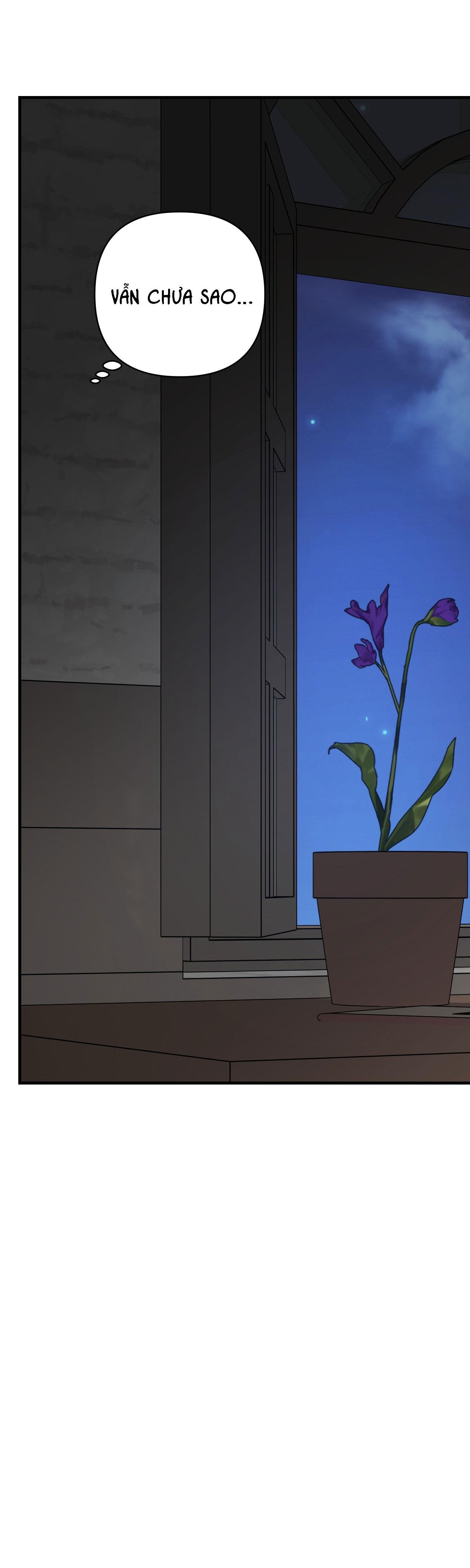 đóa hoa của mặt trời chapter 96 7