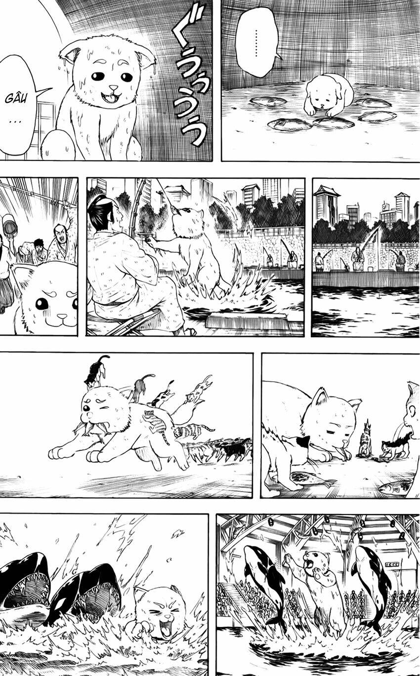 gintama - linh hồn bạc chapter 402 14