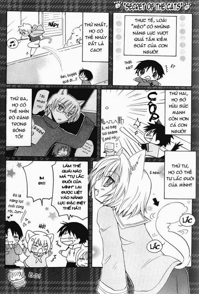 boku x neko? chapter 5 6