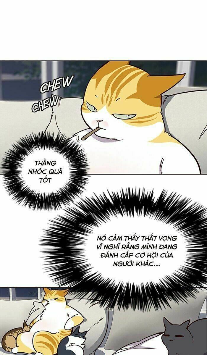 biến thân thành mèo chapter 61 69