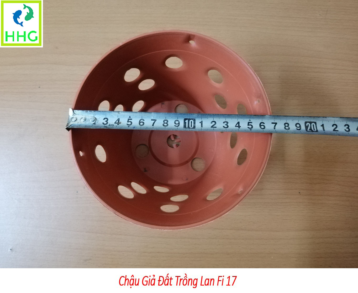 20 chậu giả đất trồng lan Fi 17 - đường kính 17cm