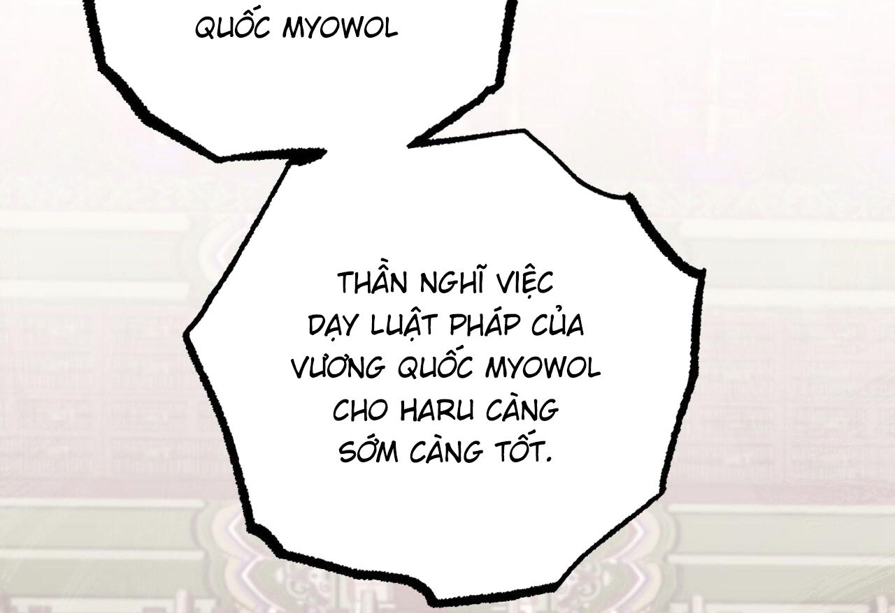đàn thỏ của habibi chapter 62 245