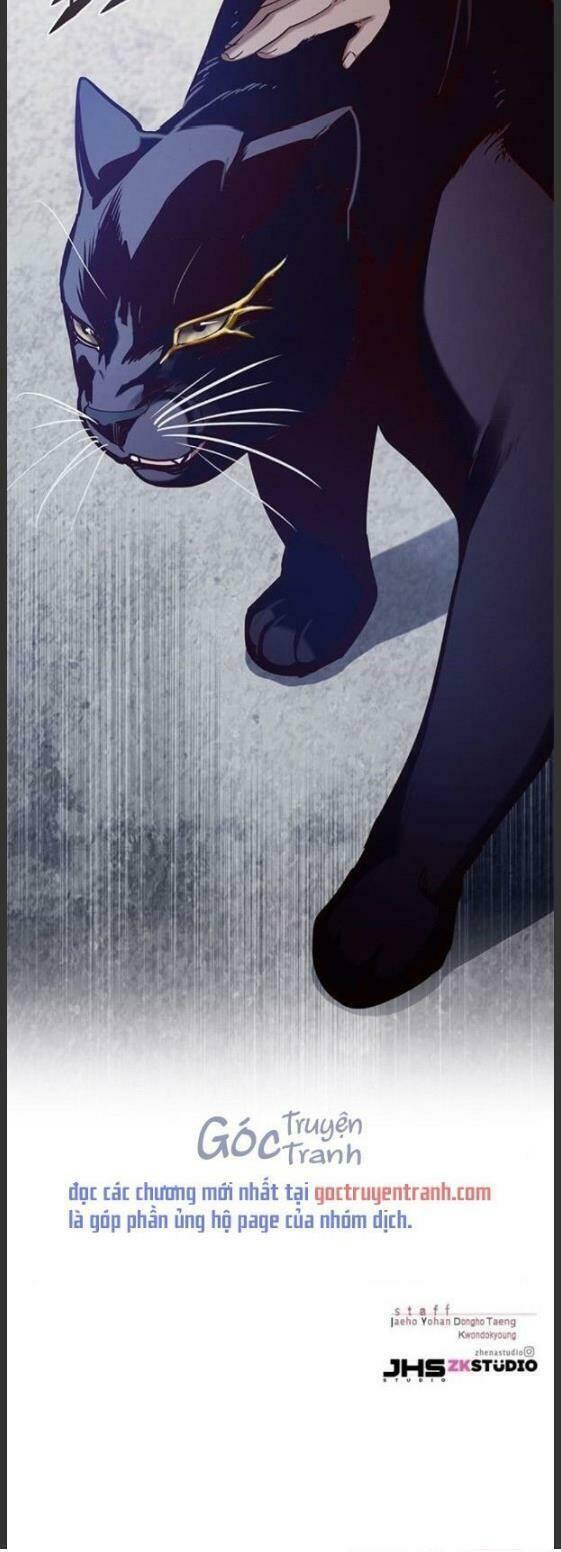biến thân thành mèo chapter 157 43