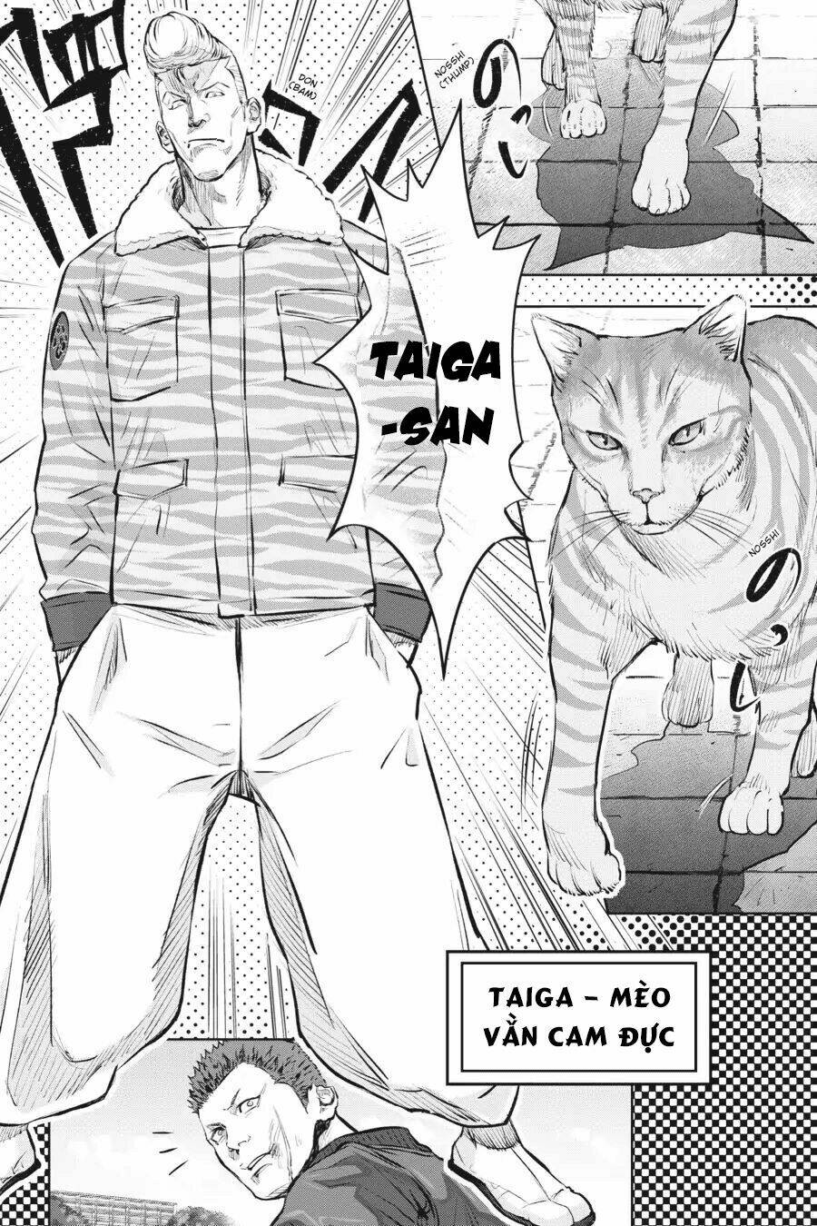 nyankees chapter 1 29