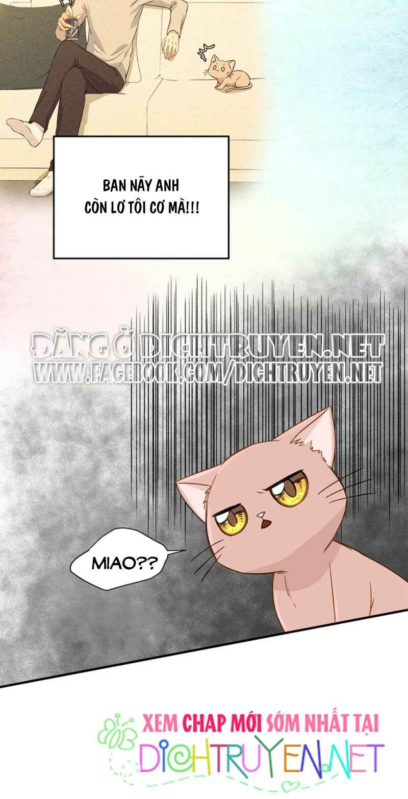 cuộc sống kỳ thú chapter 3 7