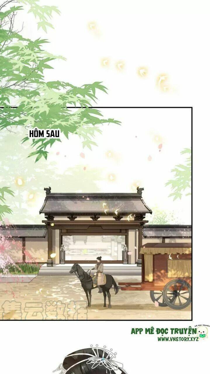 phượng hoàng vu phi chapter 81 28