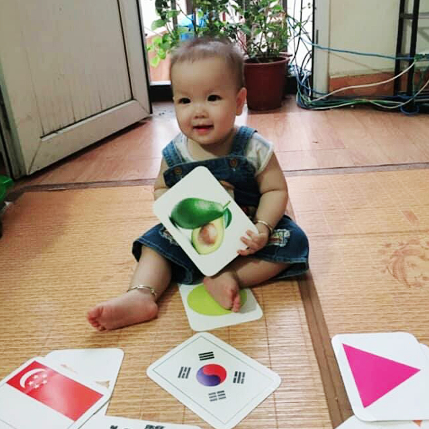 Bộ Thẻ Học Thông Minh 15 Chủ Đề loại to song ngữ tiếng Anh loại chuẩn Glenn Doman Flashcard cho bé từ 0-6 tuổi