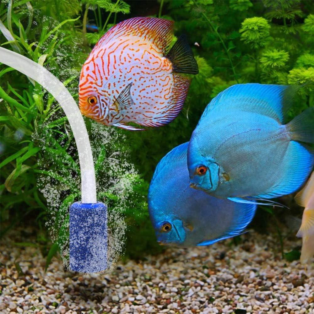 12 Mảnh Đá Sục Khí Tạo Bọt Khí, Đá Không Khí Hồ Cá, Máy Khuếch Tán Khoáng Bơm, Dùng Cho Máy Bơm Hồ Cá Và Bể Cá Thủy Canh Ao Ao, 13Mm X 25Mm Màu Xanh