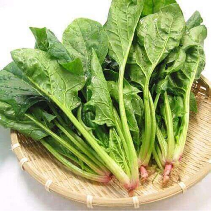 Hạt giống Cải Bó Xôi Chịu Nhiệt, Dễ Trồng Được Nhiều Người Ưa Chuộng - Nông Sản Vàng