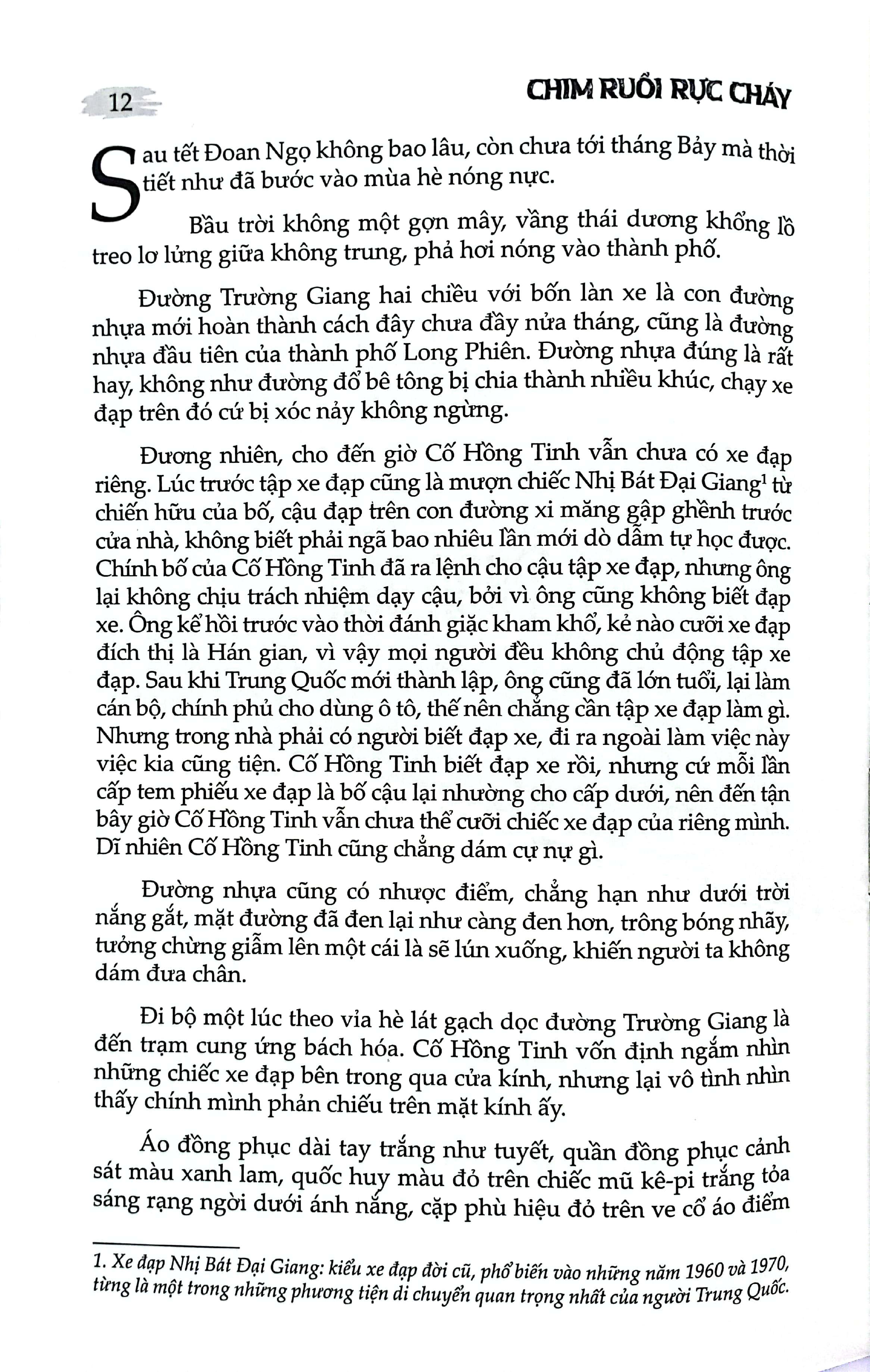 Chim Ruồi Rực Cháy