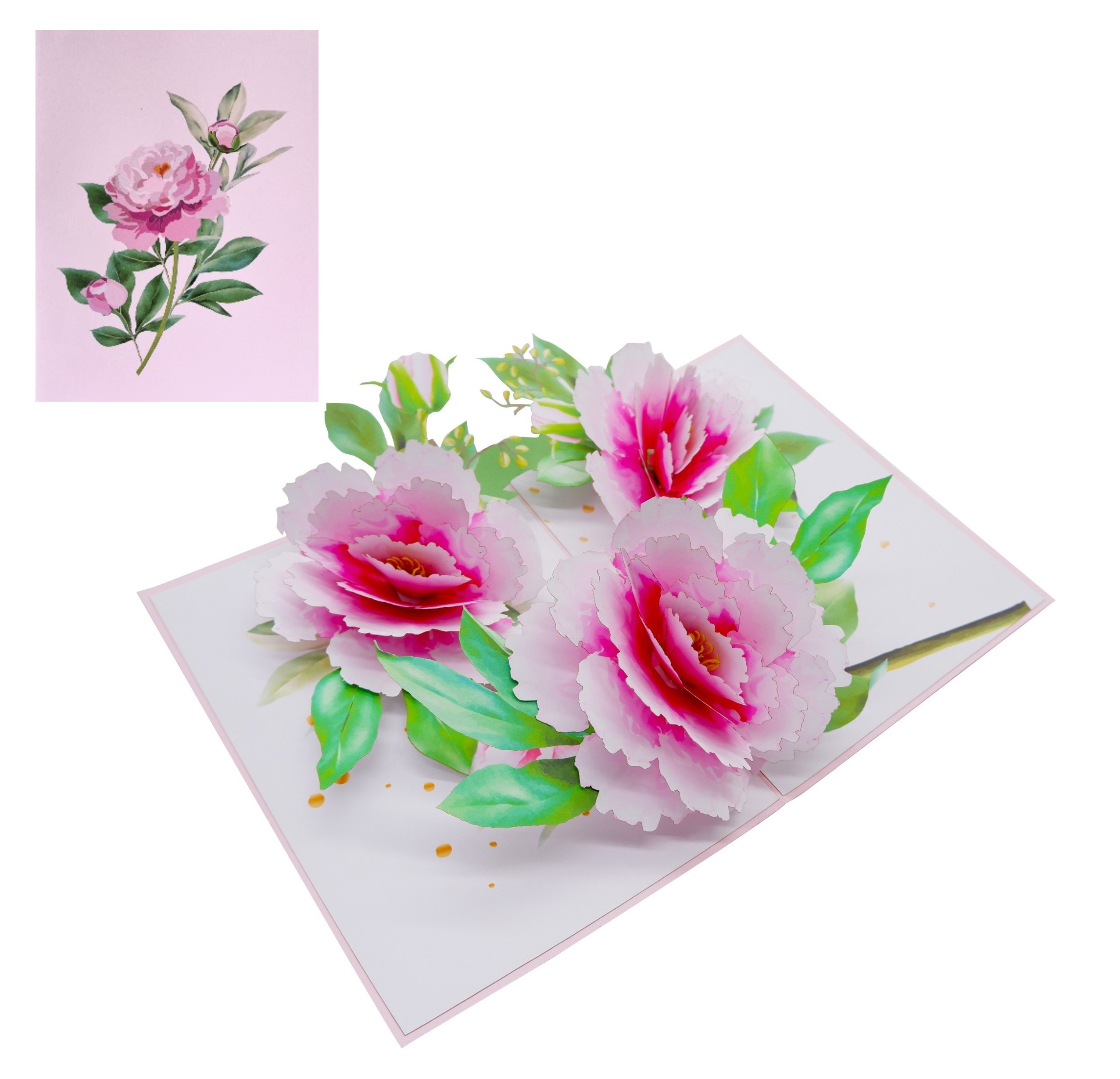 Thiệp 3D Hoa Mẫu Đơn Hồng Thanh Lịch – Thiệp Pop Up Cao Cấp, Tặng Sinh Nhật, Kỷ Niệm, 8/3, 20/10, Lễ Tình Nhân, F41