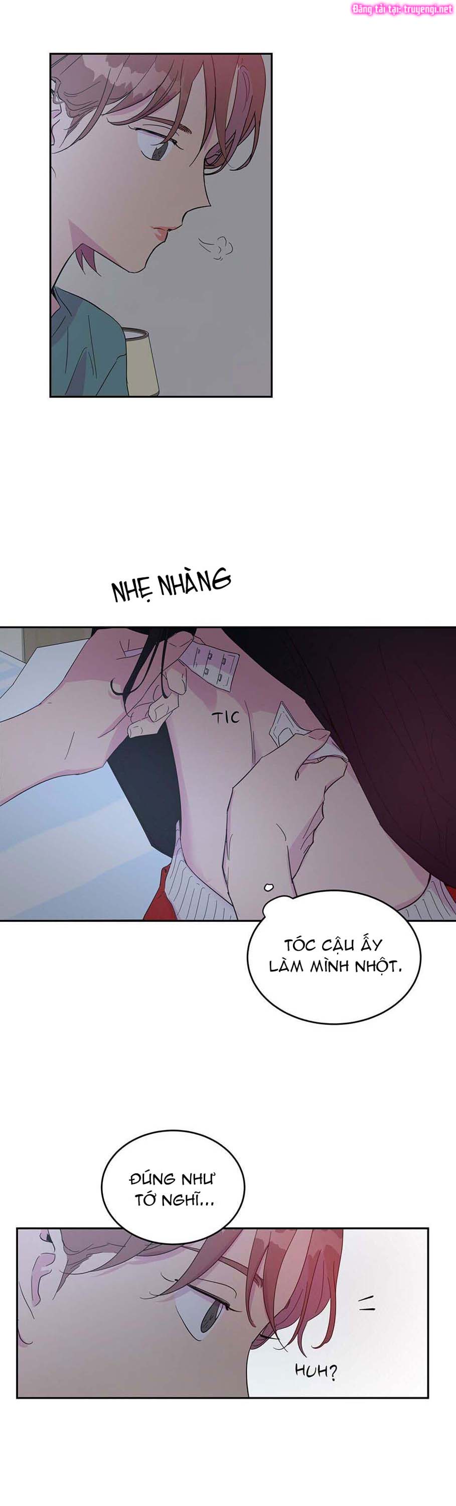 nguyên tắc mối quan hệ chapter 17 17