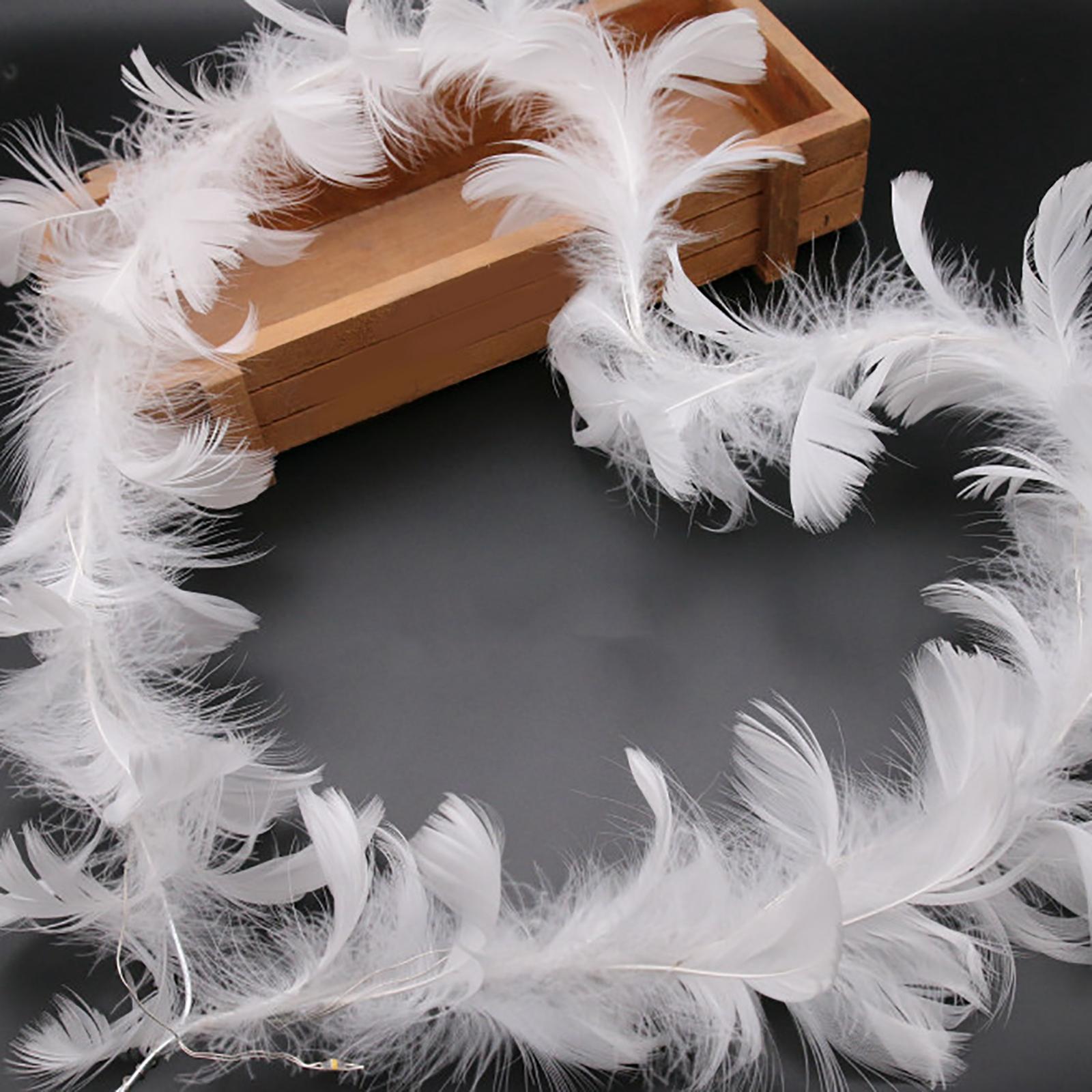 2PCS Feather Cake Toppers Cupcake Toppers Cake Decoration for Party Birthday Christmas New Year