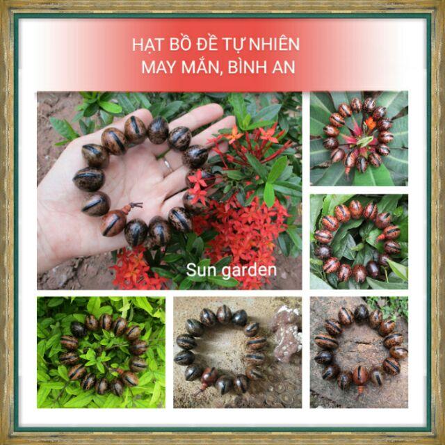 VÒNG TAY BÌNH AN HẠT BỒ ĐỀ TỰ NHIÊN