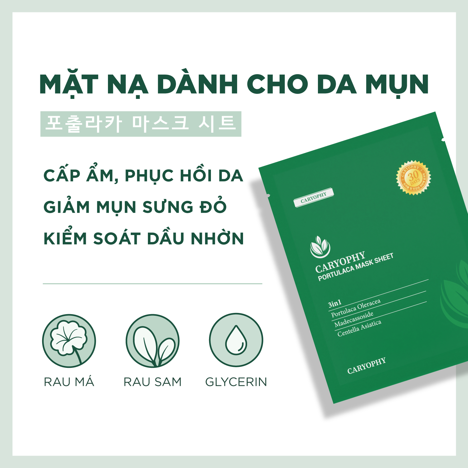 Mặt nạ hỗ trợ trị mụn Caryophy Portulaca Mask Sheet 3IN1 22g