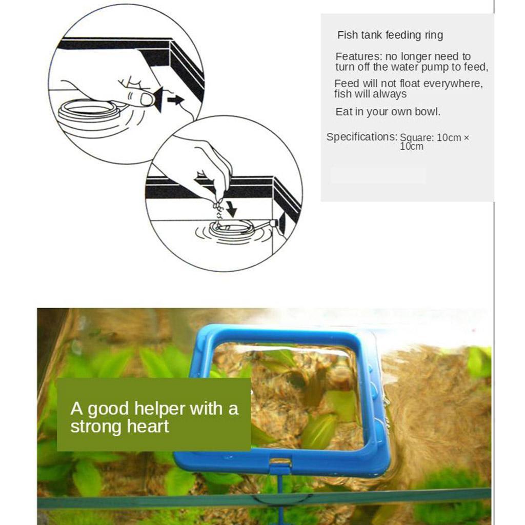 Fish Food Feeding  Aquarium Feeding Circle  Fish Tank Fish Feeder