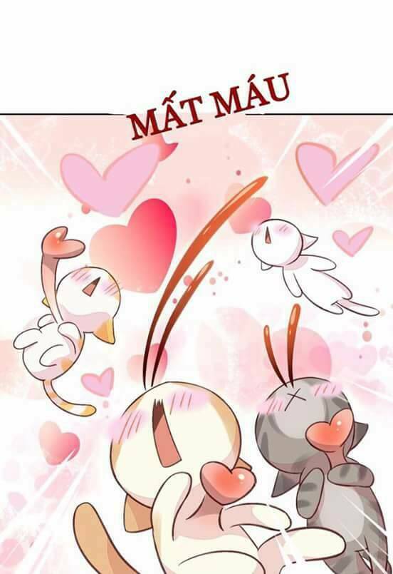 dưới móng vuốt mèo chapter 5 17