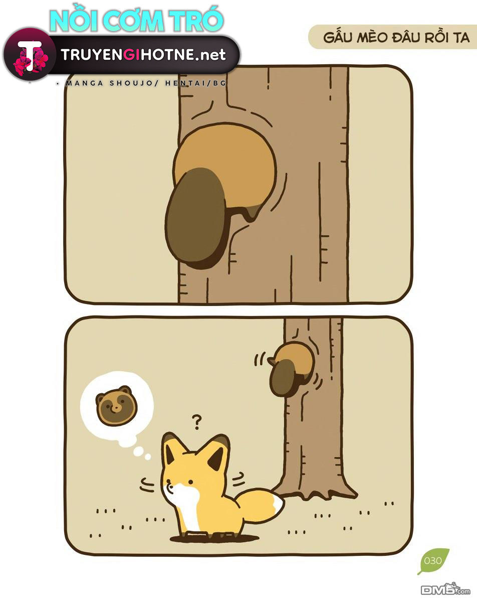 cáo và gấu mèo chapter 10 7