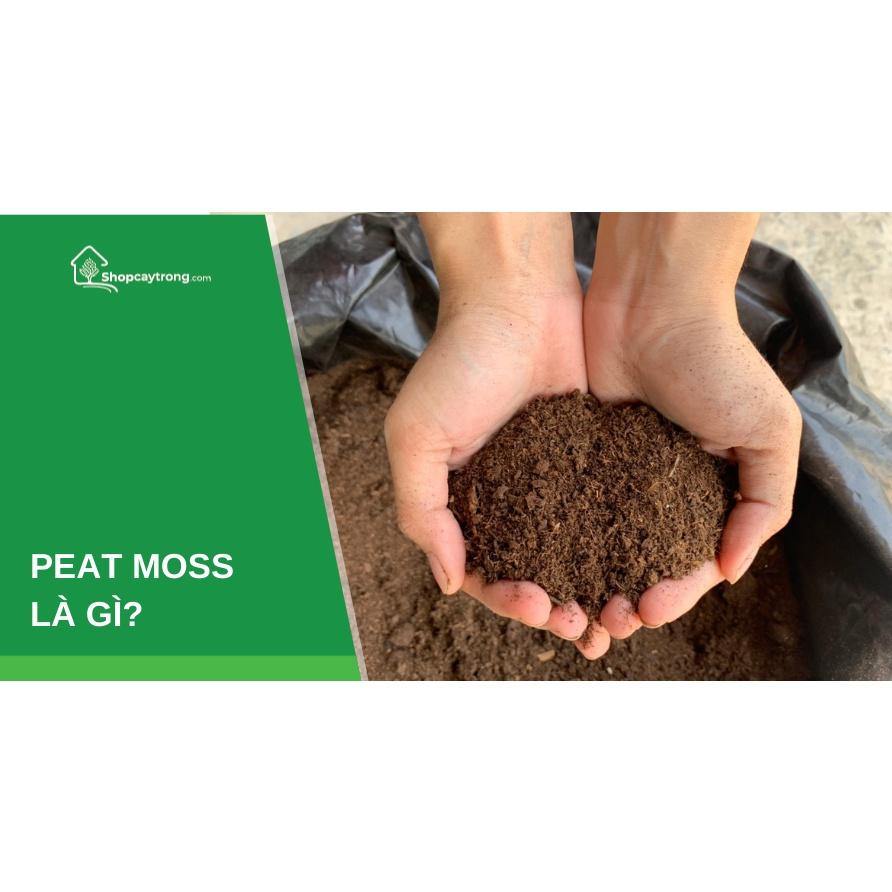 Giá thể trồng cây từ than mùn cao cấp Peat Moss 1kg thích hợp trồng cây sen đá, xương rồng,...