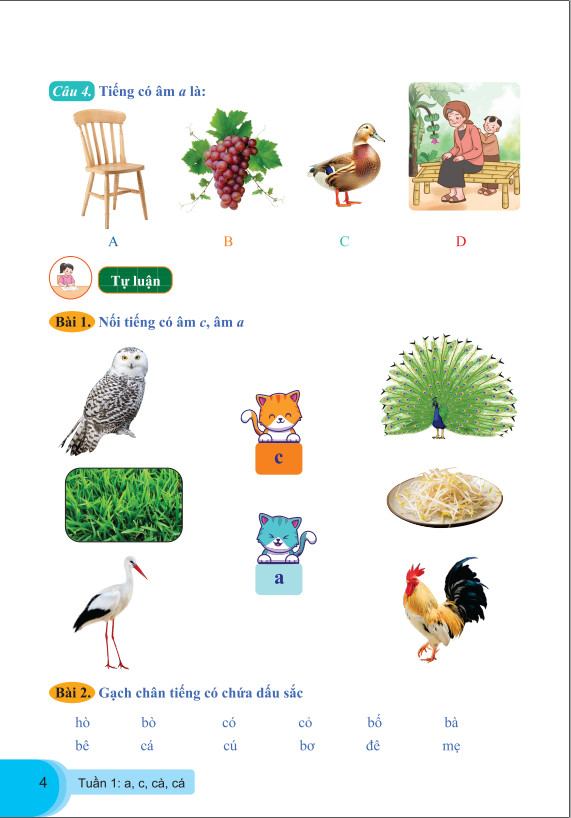 Sách - Bài Tập Tuần Tiếng Việt Lớp 1 - Biên Soạn Theo Chương Trình GDPT Mới - Cánh Diều - ndbooks