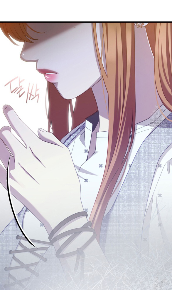 Tôi Sẽ Biến Anh Ta Từ Một Con Chó Điên Thành Một Chàng Quý Tộc chapter 43.2 13