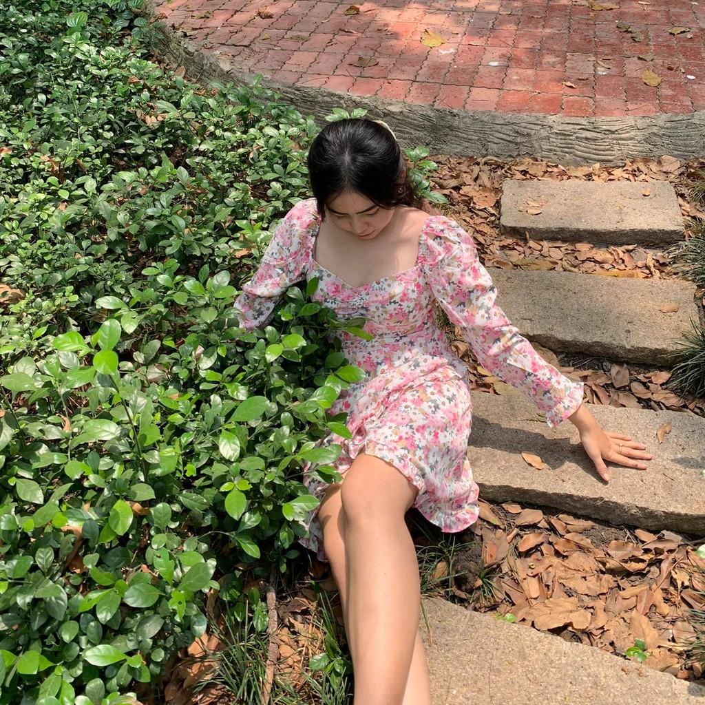 ĐẦM HOA NHÍ VẠT CHÉO
