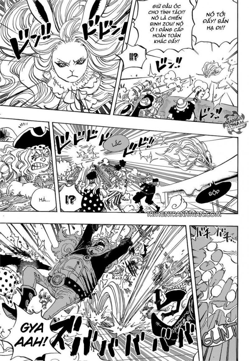 đảo hải tặc - one piece chapter 888 13