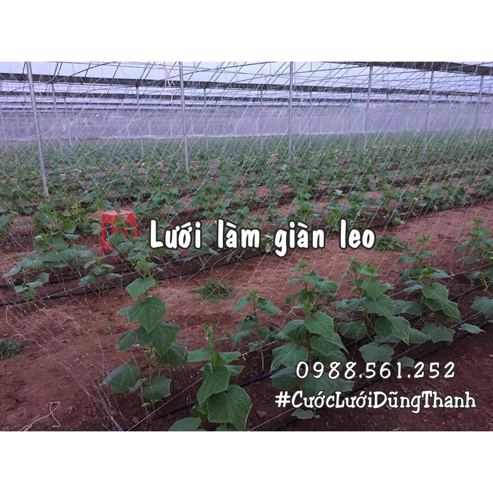Lưới làm giàn leo 2m x 120m, ô 20cm, giàn dưa chuột, su su, chanh leo, mướp đắng, giàn mướp, giàn hoa thiên lý