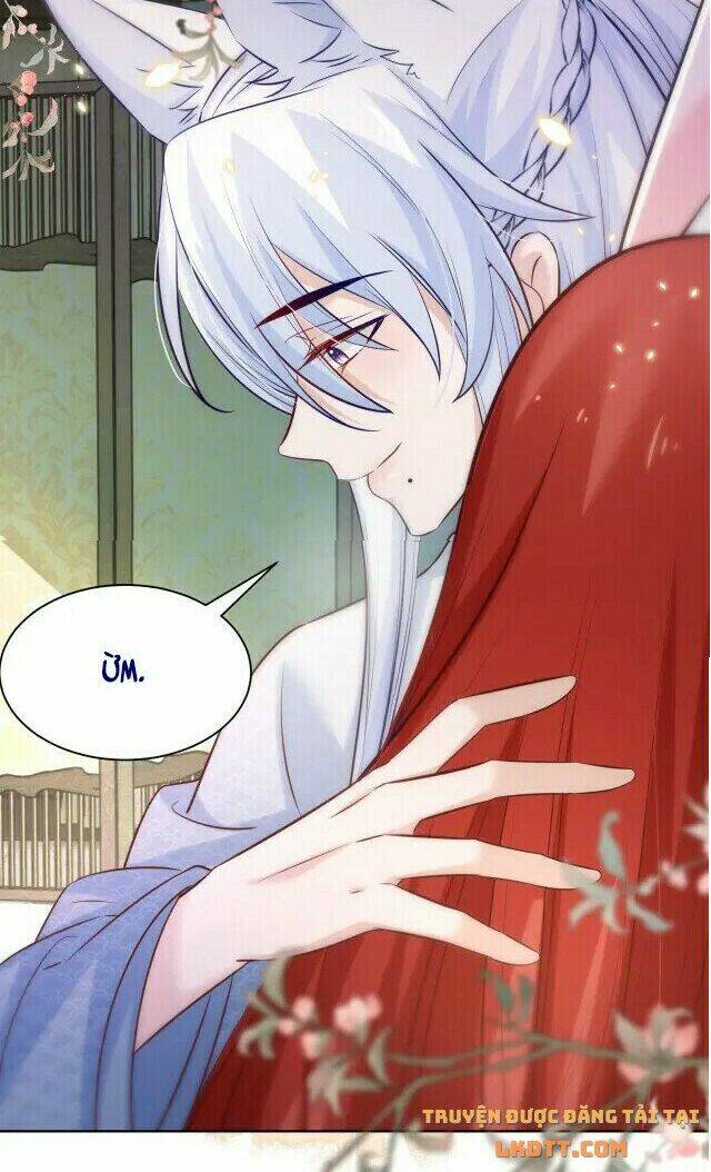 hắc hóa nam chính trực tuyến nuôi thỏ chapter 43 31