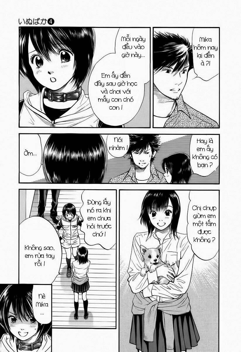 cô nàng yêu chó chapter 41 11