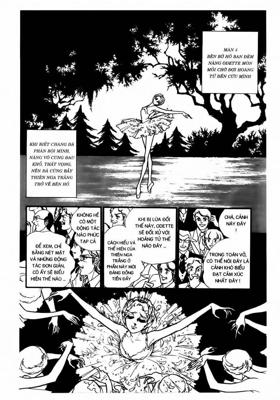 swan - vũ khúc thiên nga chapter 43 9