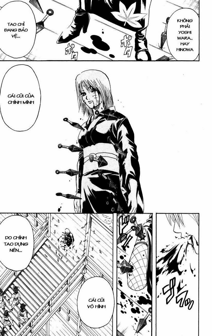 gintama - linh hồn bạc chapter 217 11