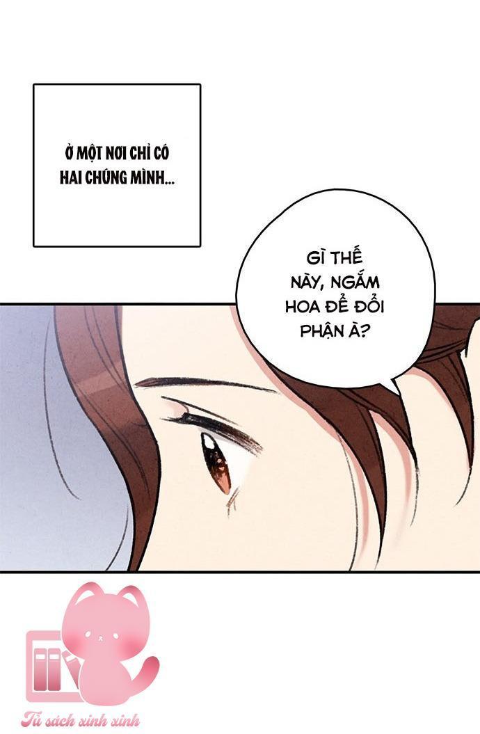 lệnh cấm hôn chapter 80 44