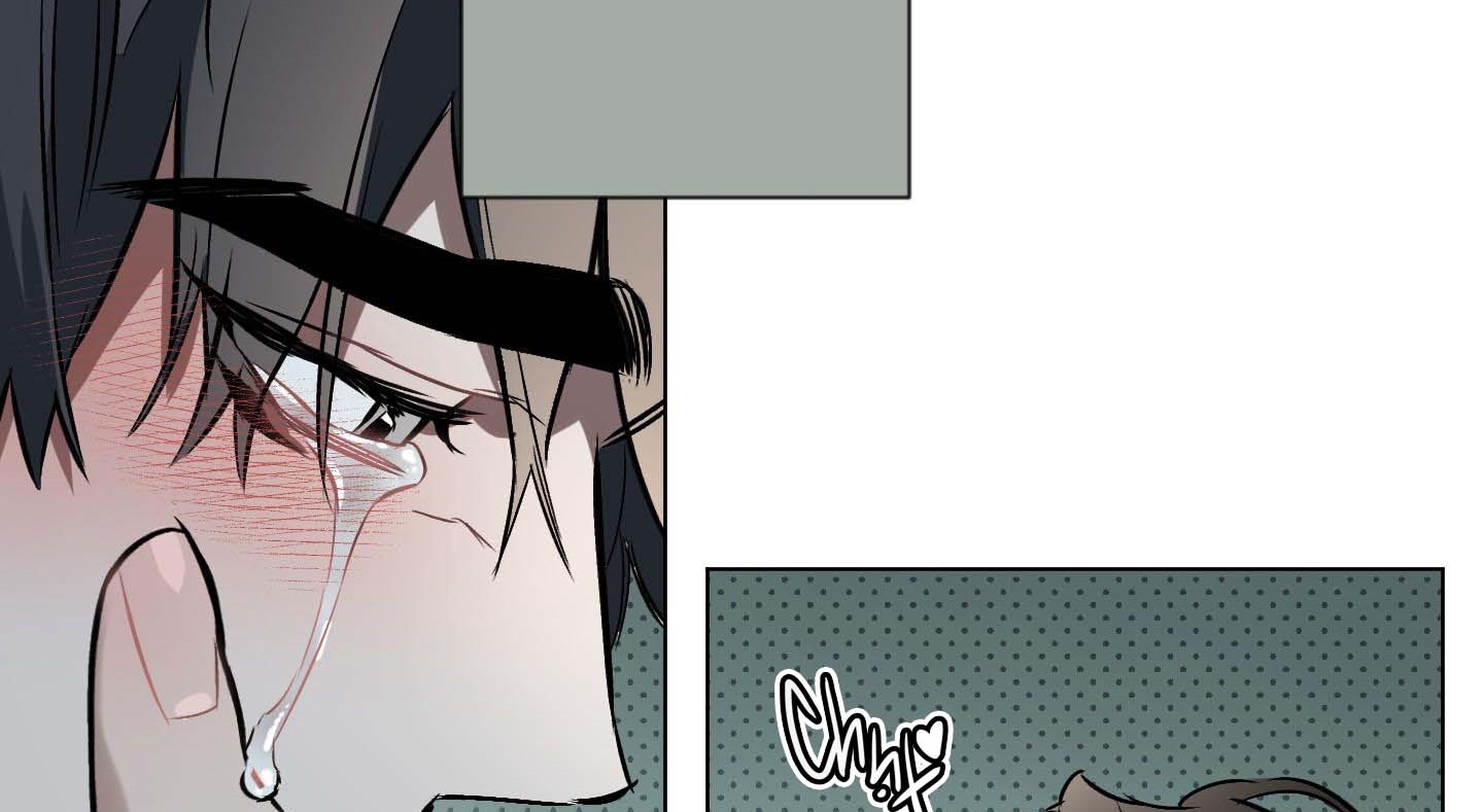 định rõ mối quan hệ chapter 43 184