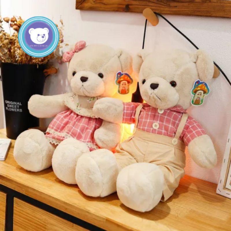 Gấu bông - gấu teddy đôi - Quà tặng cho bé kích thước 40cm - Gấu Bông Hana