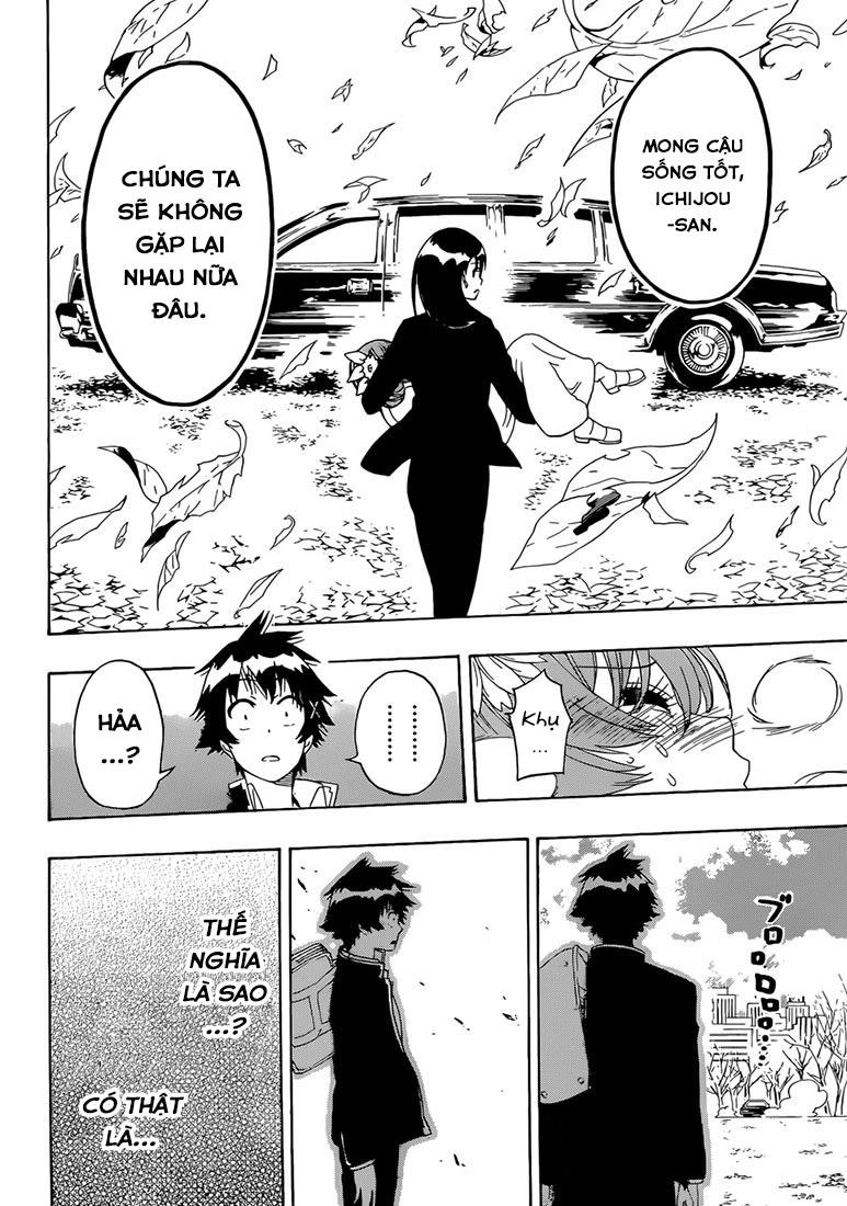 nisekoi - tình yêu giả tạo chapter 181 10